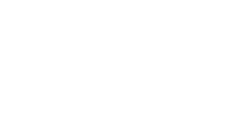 Vendfox Logo